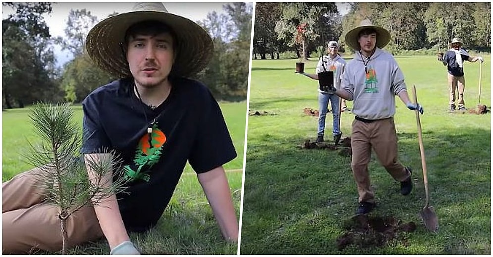 600 YouTuber İklim Değişikliğiyle Savaşmak İçin 20 Milyon Ağaç Dikecek