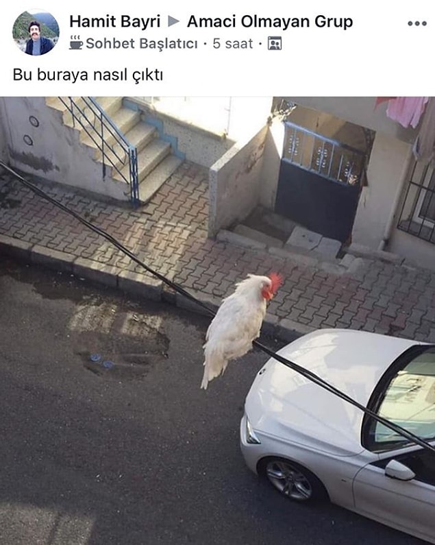 2. Uçuyor musunuz yoksa?