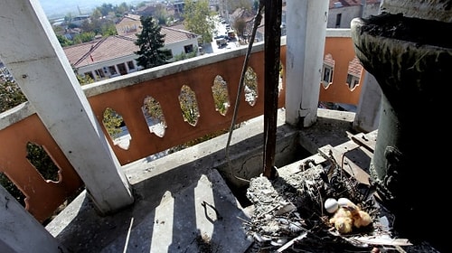 Kuşların Yumurtadan Çıkması Beklenecek: Bursa'daki Tarihi Kulede Onarım Çalışmaları Durduruldu