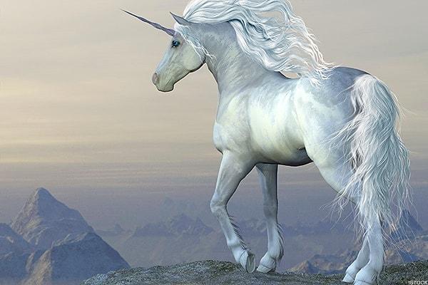 Senin ruh eşin asaleti ile dillere destan, iyiliğin ve güzelliğin timsali Unicorn!