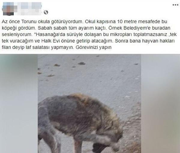 H.A. sosyal medya hesabından yaptığı paylaşımda yolda gördüğü bir köpeği öldüreceğini söyledi👇