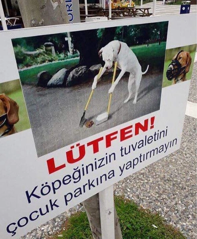Yoksa köpeklerinize temizletiriz!