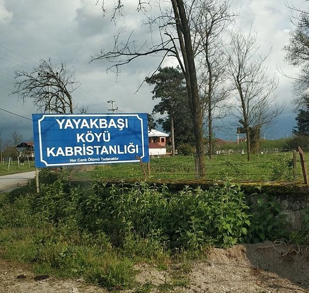 Sanki peltek bir memur yapmış da normali çok daha farklı bir şeymiş gibi...