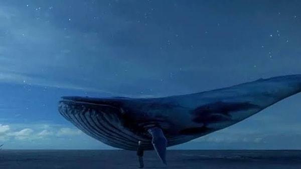 Raporda, yaklaşık 150 civarında gencin intiharıyla bağlantılı olduğu düşünülen ve sanal ölüm tuzağı olarak bilinen 'mavi balina' oyunu, şöyle anlatıldı 👇
