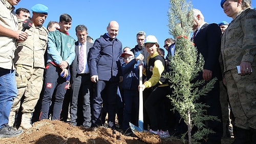 81 İlde 11 Milyon Fidan Toprakla Buluştu: Yurdun Dört Bir Yanından Kareler