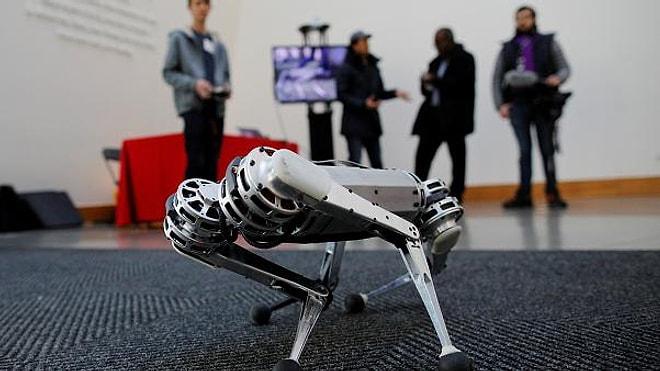 Ters Takla Atabilen Robot: Mini Çita