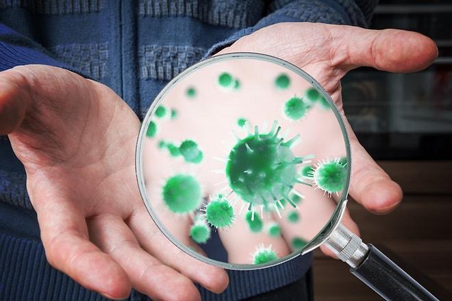 Hepimizin Her Gün Temas Ettiği 10 Gizli Bakteri Yuvası