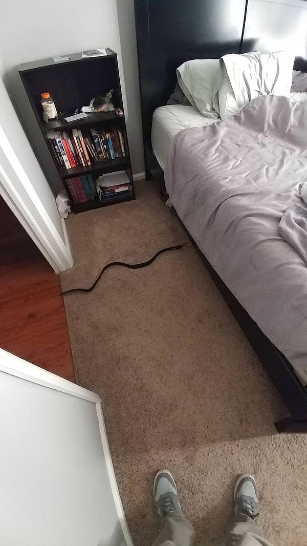 21. "Odanıza girdiğiniz an yerde bir yılan olduğunu düşünün, çıldırmamak elde değildi. Ta ki onun sadece bir kemer olduğunu fark edene kadar..."