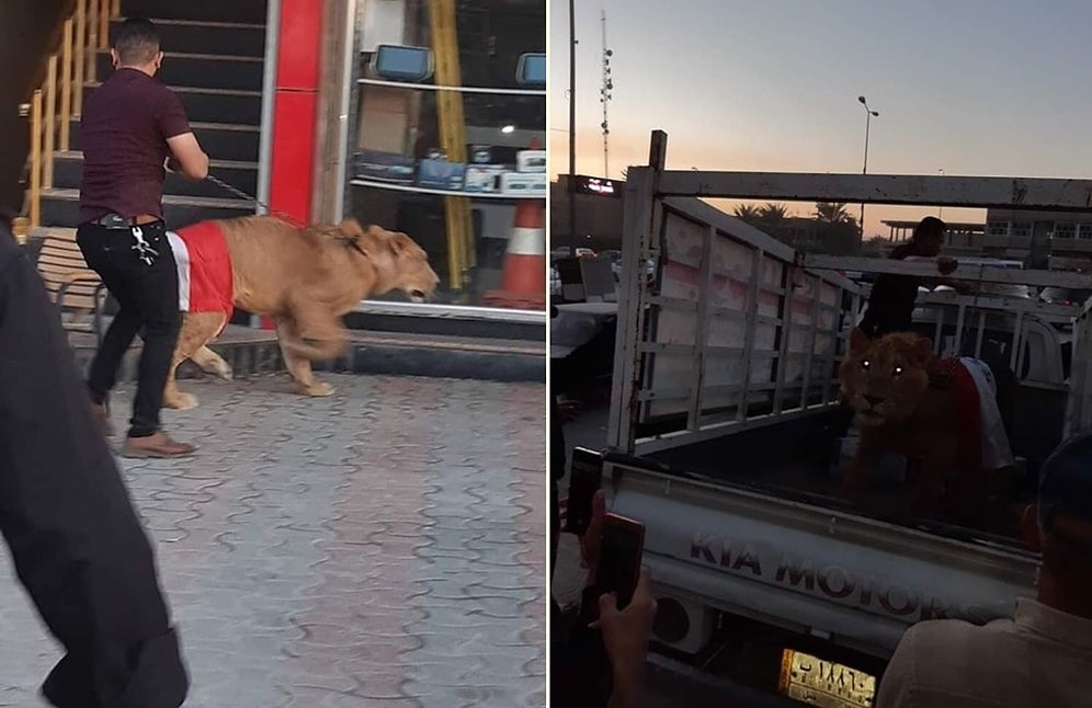 Halkı Dağıtmak İçin Polisin Köpek Tehdidine Karşı Alana Aslan Getiren Protestocular!