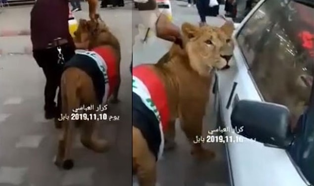Cumhuriyet'te yer alan habere göre, Binlerce Iraklı, Bağdat ve ülkenin güneyindeki Şii ağırlıklı bölgelerde 1 Ekim'den beri hükümet ve siyasi elitin görevden çekilmesi talebiyle protesto gösterileri düzenliyor.