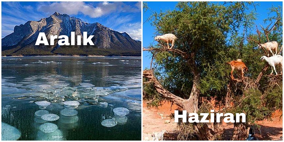 Fantastik Film Kareleri Gibi! Sadece Yılın Belirli Bir Döneminde Görebileceğiniz 12 Doğa Olayı