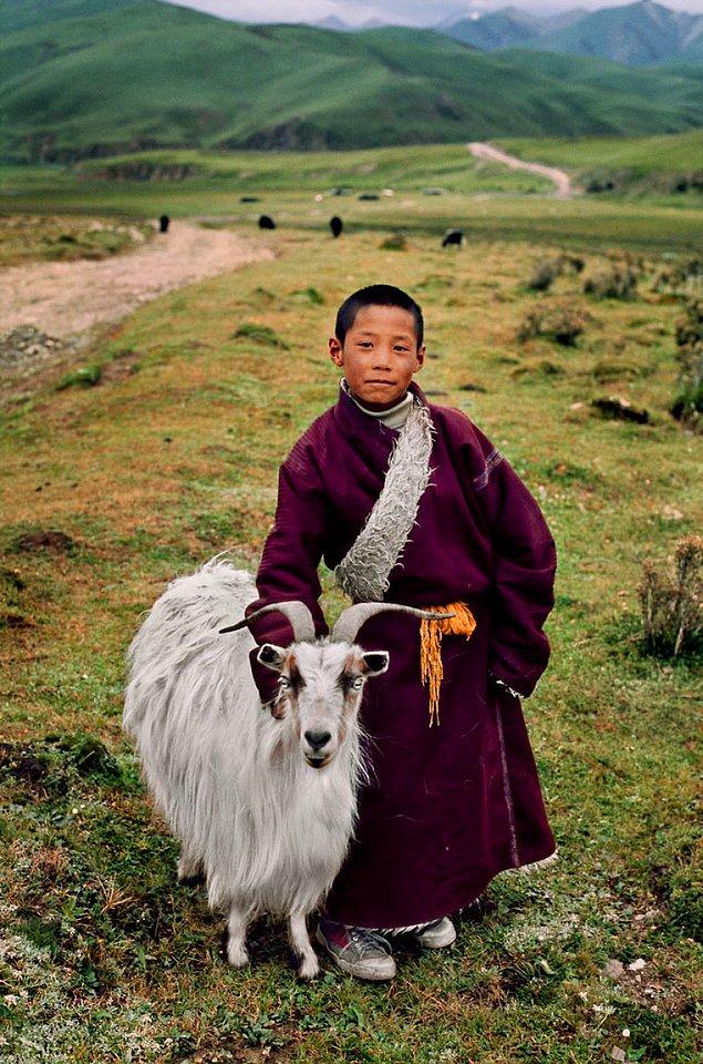 17. Tibet