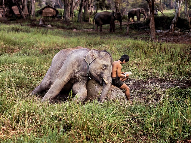 22. Chiang Mai, Tayland