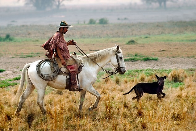 35. Chaco, Paraguay