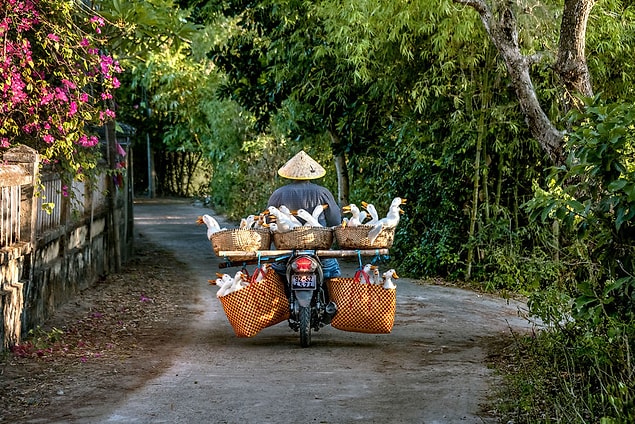 40. Vietnam