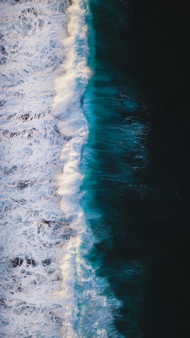 65.