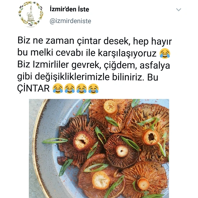 Çintar