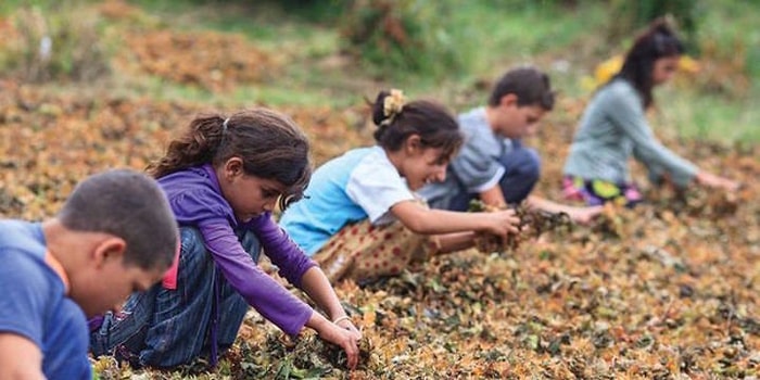 20 Kasım Dünya Çocuk Hakları Günü: Peki Türkiye Çocuk Haklarında Ne Durumda?