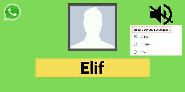 Seni WhatsApp'ta sessize alan kişi Elif!