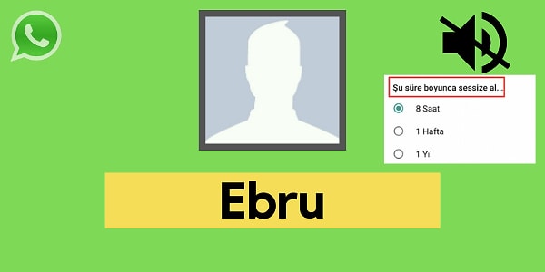 Seni WhatsApp'ta sessize alan kişi Ebru!