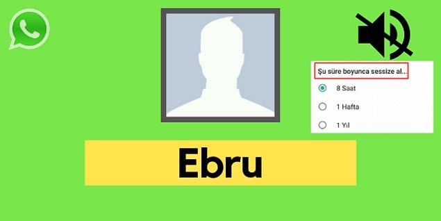 Seni WhatsApp'ta sessize alan kişi Ebru!