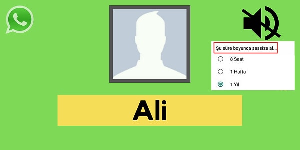 Seni WhatsApp'ta sessize alan kişi Ali!