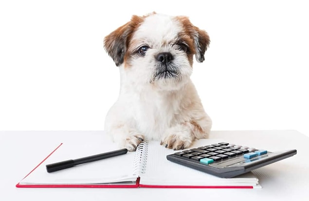 Bu yeni araştırmada köpekle insan yaşını eşitleyen formül şöyle: