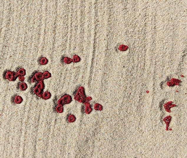 20. Bu kan damlalarının kumda oluşturduğu şekil, kırmızı kan hücrelerine benziyorlar.