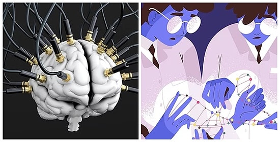 Bilim İnsanları Yeni Bir Şey Öğrenmenin Hızlı ve Yeni Bir Yolunu Ortaya Koydu
