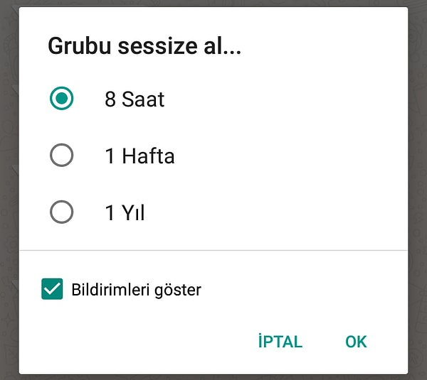 5. Bulunduğun WhatsApp gruplarını sessize aldığın oldu mu?