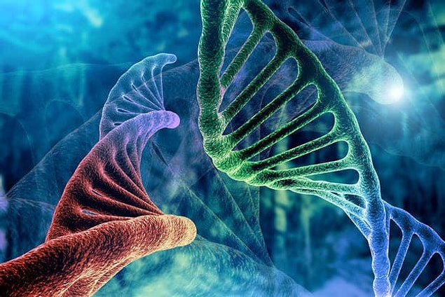 2. DNA aynı zamanda ne olarak bilinir?