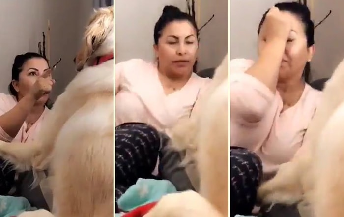 Annesini Köpeğiyle Tartışırken Gören Gencin Kaydettiği Efsane Görüntüler!