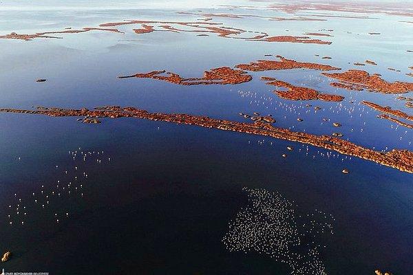 Delta, UNESCO Dünya Doğa Mirası kıstaslarına uyuyor