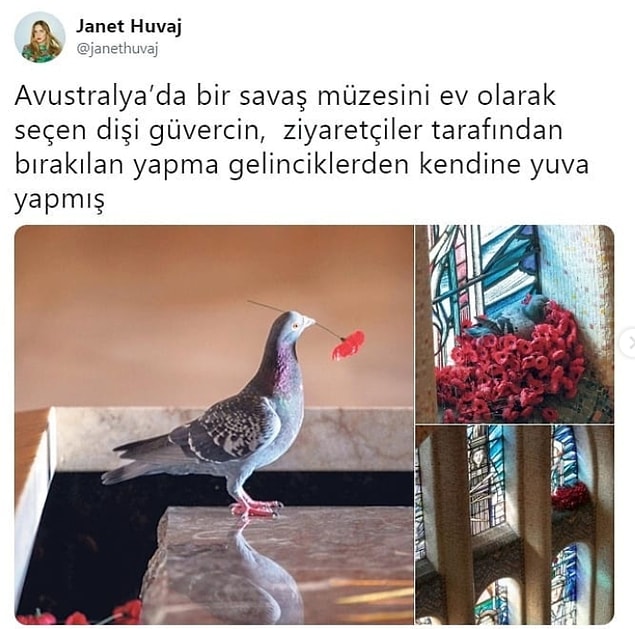 5. Çoşturmuş.
