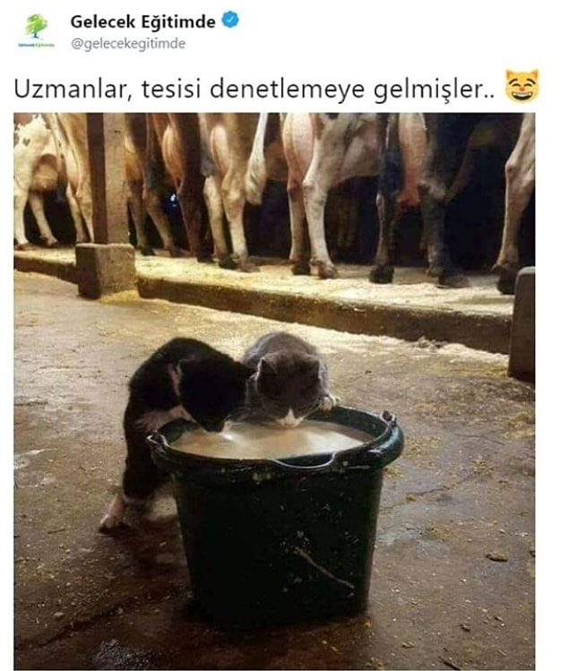 2. Tesisler tamam.