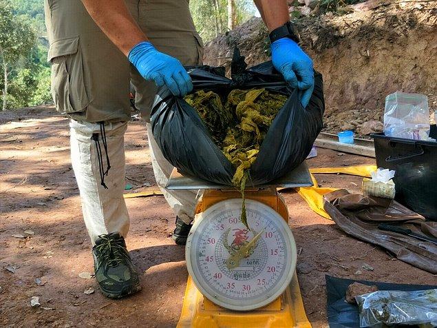 Yaklaşık 3 ay önce de başka bir ulusal parkta midesinde 3 kilogram plastik atık bulunan geyik ölü bulunmuştu.