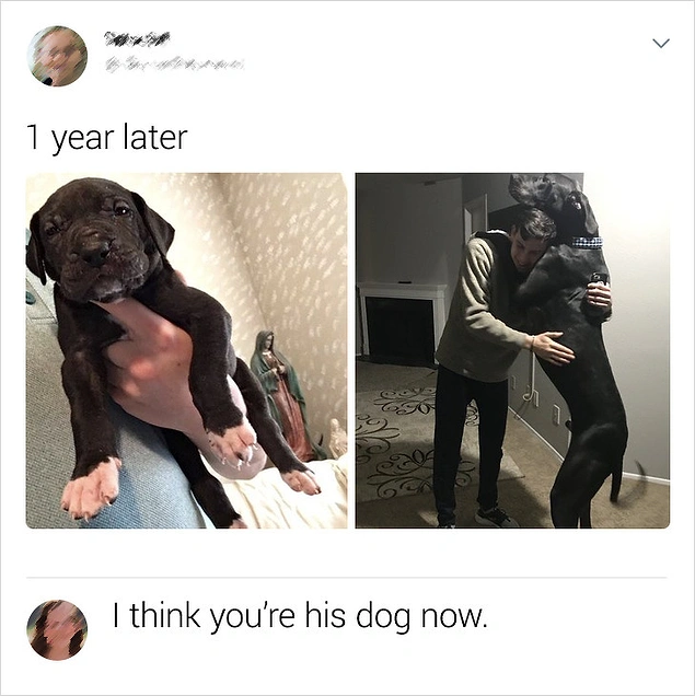1 yıl sonra