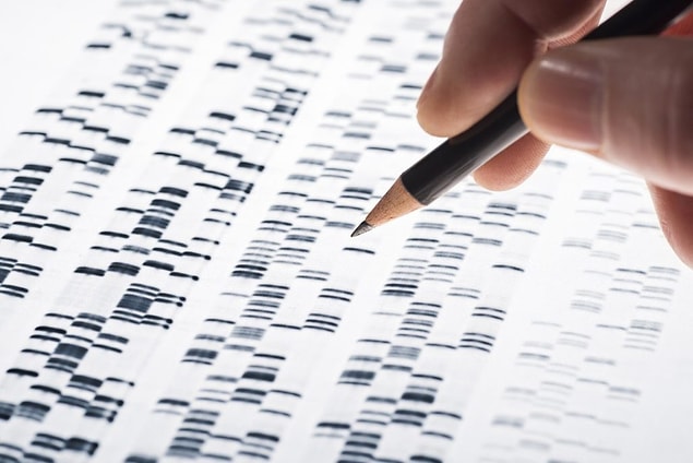 15. DNA vücudumuzdaki birçok genetik molekülden yalnızca biri olabilir.