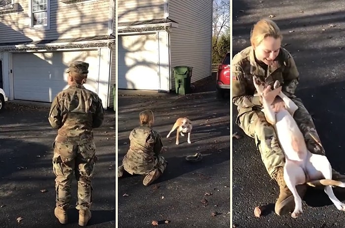 Askerde Olan ve 2 Senedir Görmediği İnsan Dostuna Kavuşan Köpeğin Aşırı Mutlu Olduğu Anlar!