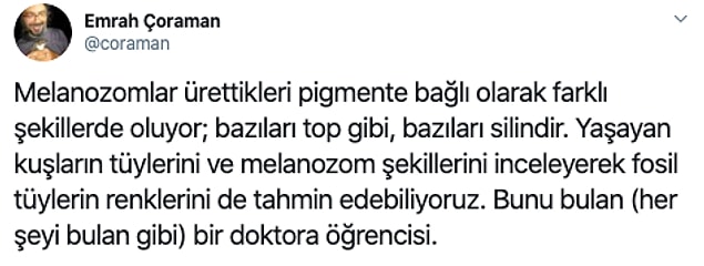 7.
