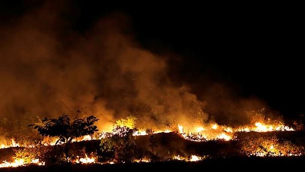 Bolsonaro, WWF'nin itfaiyecilere ülkedeki ormanları yakmaları ve ardından da daha fazla bağış elde edebilmek için görüntüler kaydetmeleri için para verdiğini iddia ediyor.