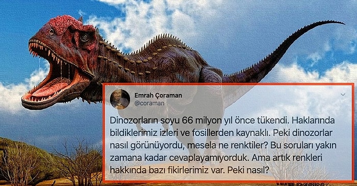 Dinozorlar Hakkında Merak Edilenlere Işık Tutan Bu Paylaşım Ufkunuzu Bir Daha Kapanmayacak Şekilde Açacak!