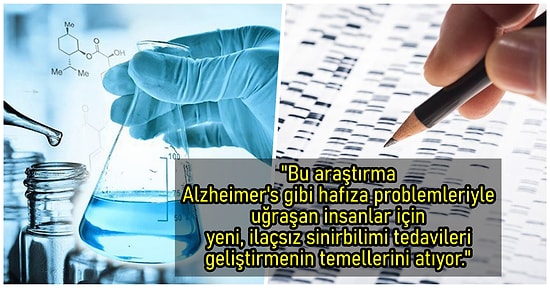 2019'da Bilim Dünyasının Açığa Kavuşturarak Karanlık Yollarımızı Biraz Daha Aydınlattığı 15 İlginç Keşif