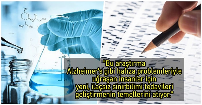 2019'da Bilim Dünyasının Açığa Kavuşturarak Karanlık Yollarımızı Biraz Daha Aydınlattığı 15 İlginç Keşif