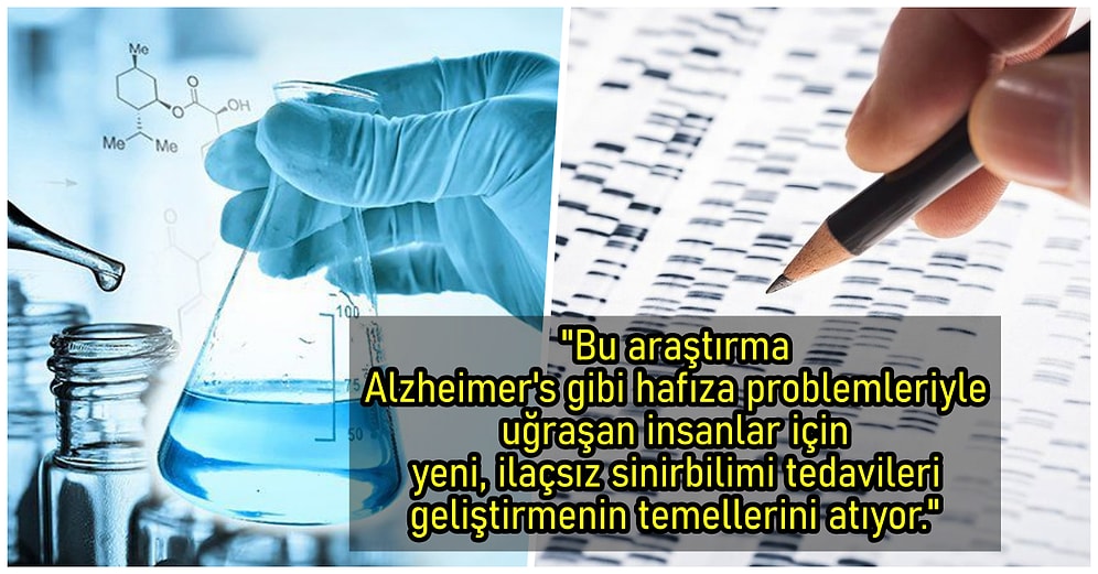 2019'da Bilim Dünyasının Açığa Kavuşturarak Karanlık Yollarımızı Biraz Daha Aydınlattığı 15 İlginç Keşif