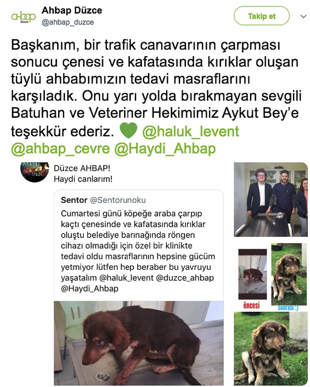 6. Yaralı sokak ahbaplarını hiç ama hiç unutmadılar, koştular tedavi ettirdiler...