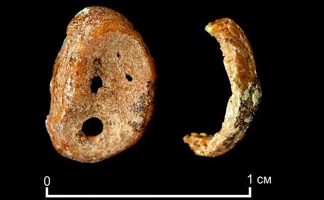 5. Sibirya’daki Denisova mağarasında bulunan küçük bir parmak kemiğinin DNA dizisi çıkarıldı ve yeni bir insan türü keşfedildi: Denisovalılar!