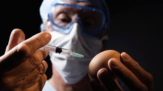 12. H5N1 kuş gribi virüsü "şarbondan daha korkunç" tartışmalarıyla yeniden gündeme geldi.