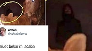 Ahırda Fotoğrafı Çekilen Gizemli Silüete Twitter'da Tepkiler Gecikmedi