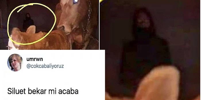 Ahırda Fotoğrafı Çekilen Gizemli Silüete Twitter'da Tepkiler Gecikmedi